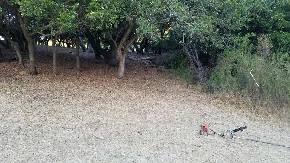 Brush cleared land in Moraga, CA.