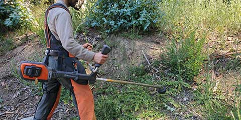 Brush removal expert clearing weeds with an electric weed eater near Lafayette, CA.