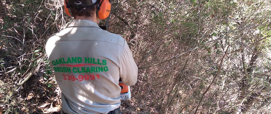 South Lake Tahoe professional brush clearing technician.