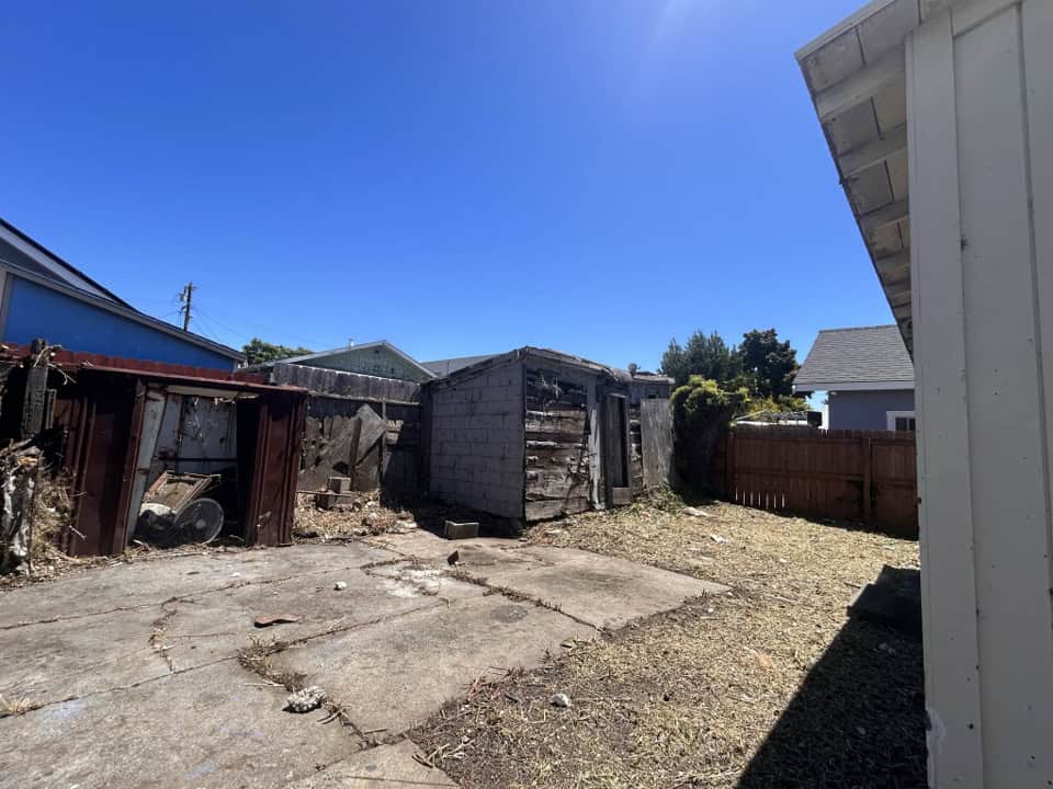 backyard brush clearing after