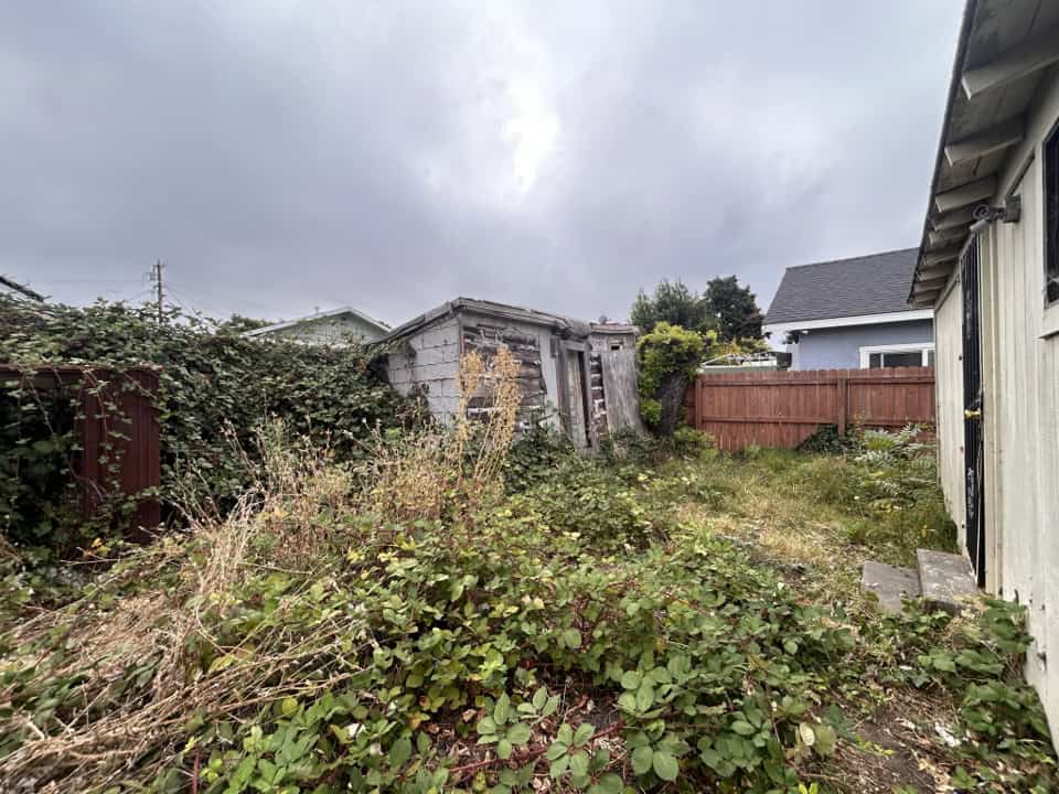 backyard brush clearing before