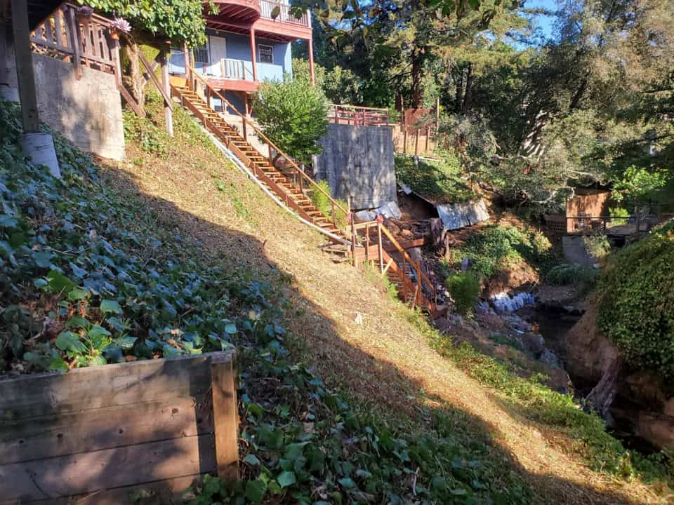 hillside brush clearing after