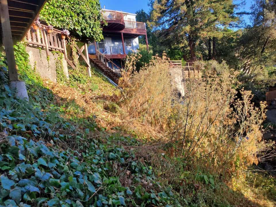 hillside brush clearing before